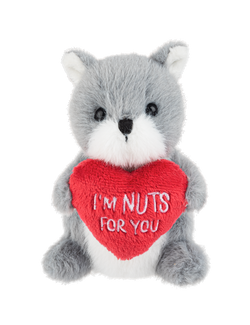 I'm nuts for you - squirrel