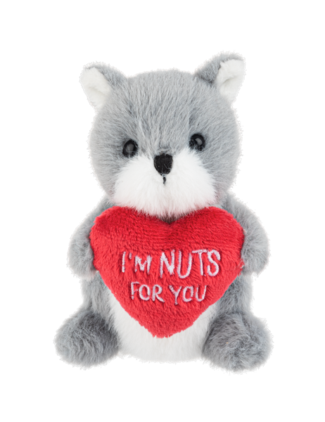 I'm nuts for you - squirrel
