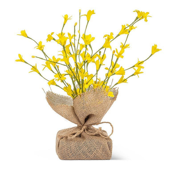 Forsythia Branches with Burlap Base
