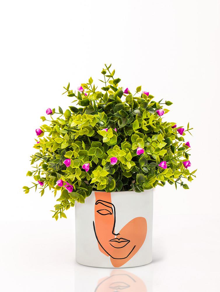 Sm Modern Face Planter
