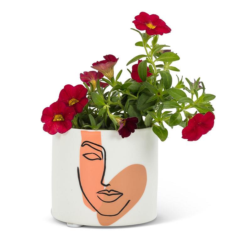 Sm Modern Face Planter